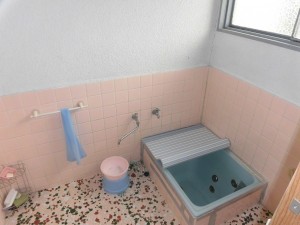CIMG2412